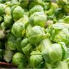 Как вырастить брюссельскую капусту?