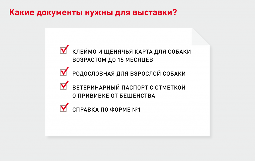 Документы для выставки собак