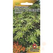 Клещевина Остров Зеленый 5шт /Удачные семена/ Гавриш