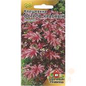 Клещевина Остров Красный 5шт /Удачные семена/ Гавриш