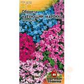 Обриета Чарующий Марокко 0,05 /Удачные семена/ Гавриш