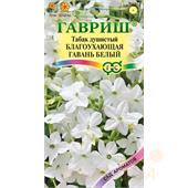 Табак Благоухающая гавань белый F1 душистый 5 шт Гавриш