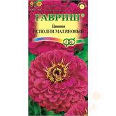 Цинния Исполин малиновый 0,3гр Гавриш