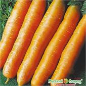 Морковь Без сердцевины 2гр НК