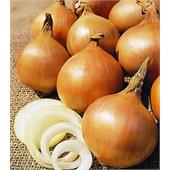 Лук-севок Стурон 0,5кг 