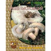Грибы Груздь настоящий/Белый Груздь 60мл Поиск