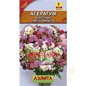 Агератум Букетный 0,02-0,1 Аэлита