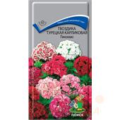 Гвоздика Турецкая Пиноккио карликовая 0,3гр Поиск