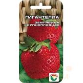 Земляника Гигантелла 10шт СС