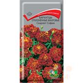 Бархатцы Скарлет София отклоненные махровые 0,4гр Поиск