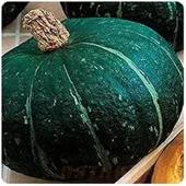 Тыква Каштанка 1-1,5гр Седек