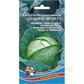 Капуста б/к Чудо на засол 0,3гр УД