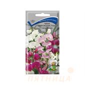 Чина широколистная Смесь окрасок 0,3гр Поиск