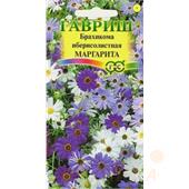 Брахикома Иберисолистная Маргарита 0,05гр Гавриш