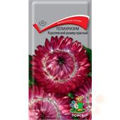 Гелихризум Красный Корол. размер 0,1гр Поиск