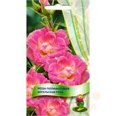 Роза полиантовая Ангельская роза 5шт Поиск