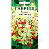 Сальвия Кассиопея 5шт Гавриш