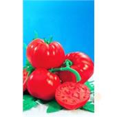 Томат Космонавт Волков 0,1гр УД