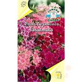 Флокс Друммонда Галактика низкорос. смесь 0,25гр Седек