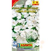 Флокс Пина колада 0,2гр Аэлита