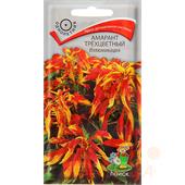 Амарант трехцветный Иллюминация 0,1гр Поиск