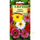 Георгина Анвис смесь 0,3-0,5гр Гавриш