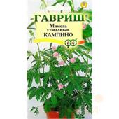 Мимоза стыдливая Кампина 0,1гр Гавриш