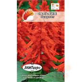 Сальвия Скарлет Сверкающая 0,05-0,1гр Аэлита