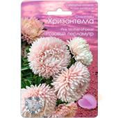 Астра Хризантелла Розовый перламутр 40шт Б/техника