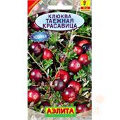 Клюква крупноплодная Таежная красавица 0,02 гр Аэлита