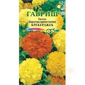 Бархатцы Крекерджек Гавриш