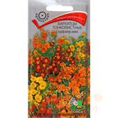 Бархатцы Старфайер микс тонколистн. 0,1гр. Поиск