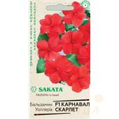 Бальзамин Уоллера Карнавал Скарлет Гавриш