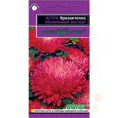 Астра Хризантелла Малиновый восторг  0,05гр Гавриш