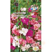 Кларкия Спутница смесь  0,2гр СеДеК