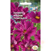 Космея Мадам Помпадур  0,04гр Седек