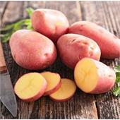 Картофель семенной Краса 