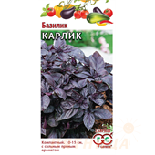 Базилик Карлик фиолетовый Гавриш