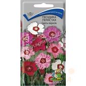 Гвоздика Перистая Смесь  0,3гр Поиск