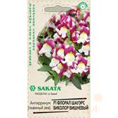 Львиный зев Флорал Шауэрс Биколор вишневый F1  10 шт Гавриш