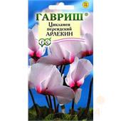 Цикламен Арлекин персидский 3шт Гавриш