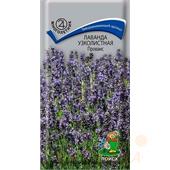 Лаванда Прованс узколистная  0,1гр Поиск