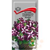 Петуния Галактика Вишнёвая F1 грандифлора  10шт Поиск