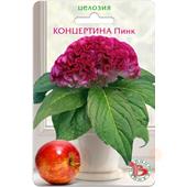 Целозия Концертина Пинк горшечная  8шт Б\техника