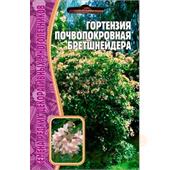 Гортензия почвопокровная Бретшнейдера  20шт ЧК