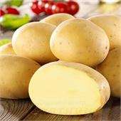 Картофель семенной Гэтсби