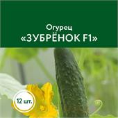 Огурец Зубренок F1 Сады Урала