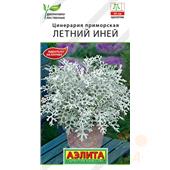 Цинерария Летний Иней  0,1гр Аэлита