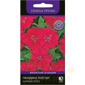 Гвоздика Телстар Кармин Роуз  10шт Поиск