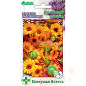 Календула лекарственная Красный факел 10шт ЕвроСемена